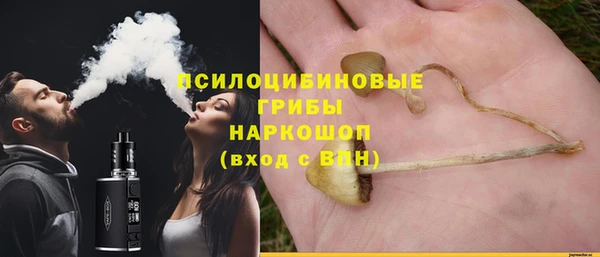 ешки Вязники