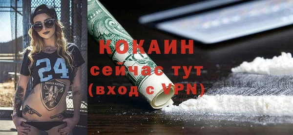 ALPHA PVP Горняк