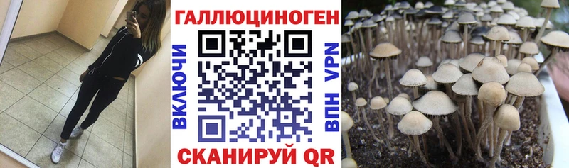 Псилоцибиновые грибы GOLDEN TEACHER  Купить  Первомайск 